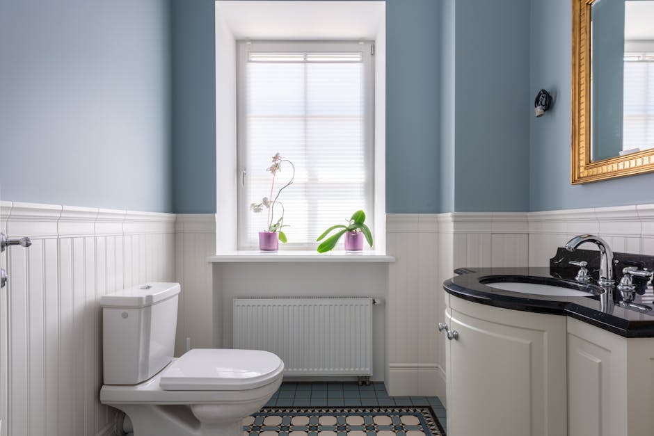 Toilet Repair & Installation in Galveston, TX - The Galveston Plumber